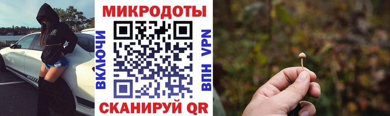 Купить закладки  Перевоз  Галлюциногенные грибы Psilocybe 